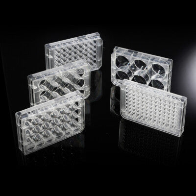 Non-Treated  Cell Culture Plates-6/12/96-Well, 1/Pack, 50/Case