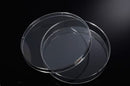 Cell Culture Dish, 150x25 mm