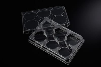 Cell Culture Plate, 6-well