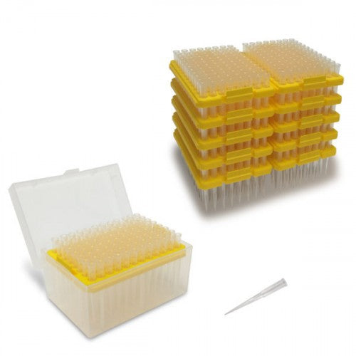 Pipette Tips, 300µL, 10 racks of 96